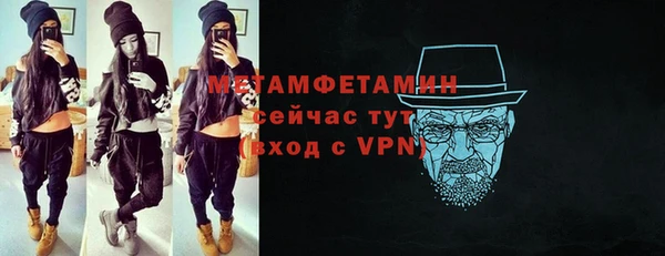 индика Верхний Тагил