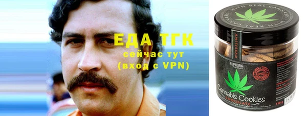 индика Верхний Тагил