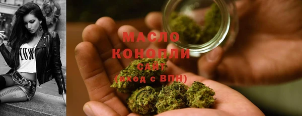 индика Верхний Тагил