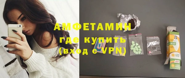 индика Верхний Тагил