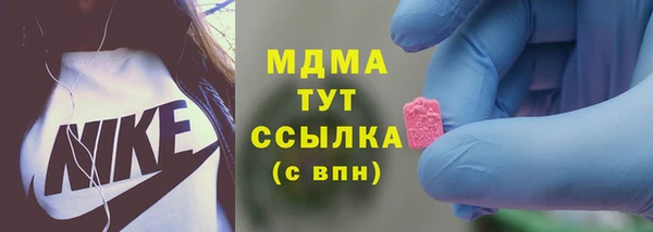 индика Верхний Тагил