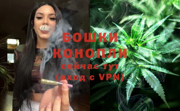 крисы Верея