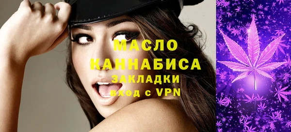 индика Верхний Тагил