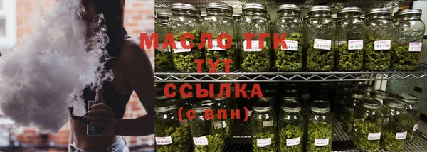 индика Верхний Тагил