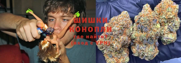 индика Верхний Тагил