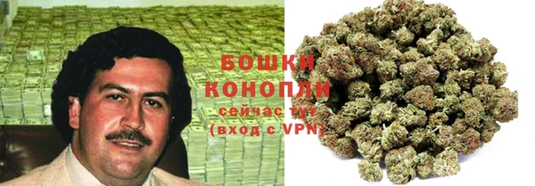 индика Верхний Тагил
