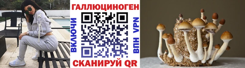 kraken как войти Каспийск Псилоцибиновые грибы ЛСД